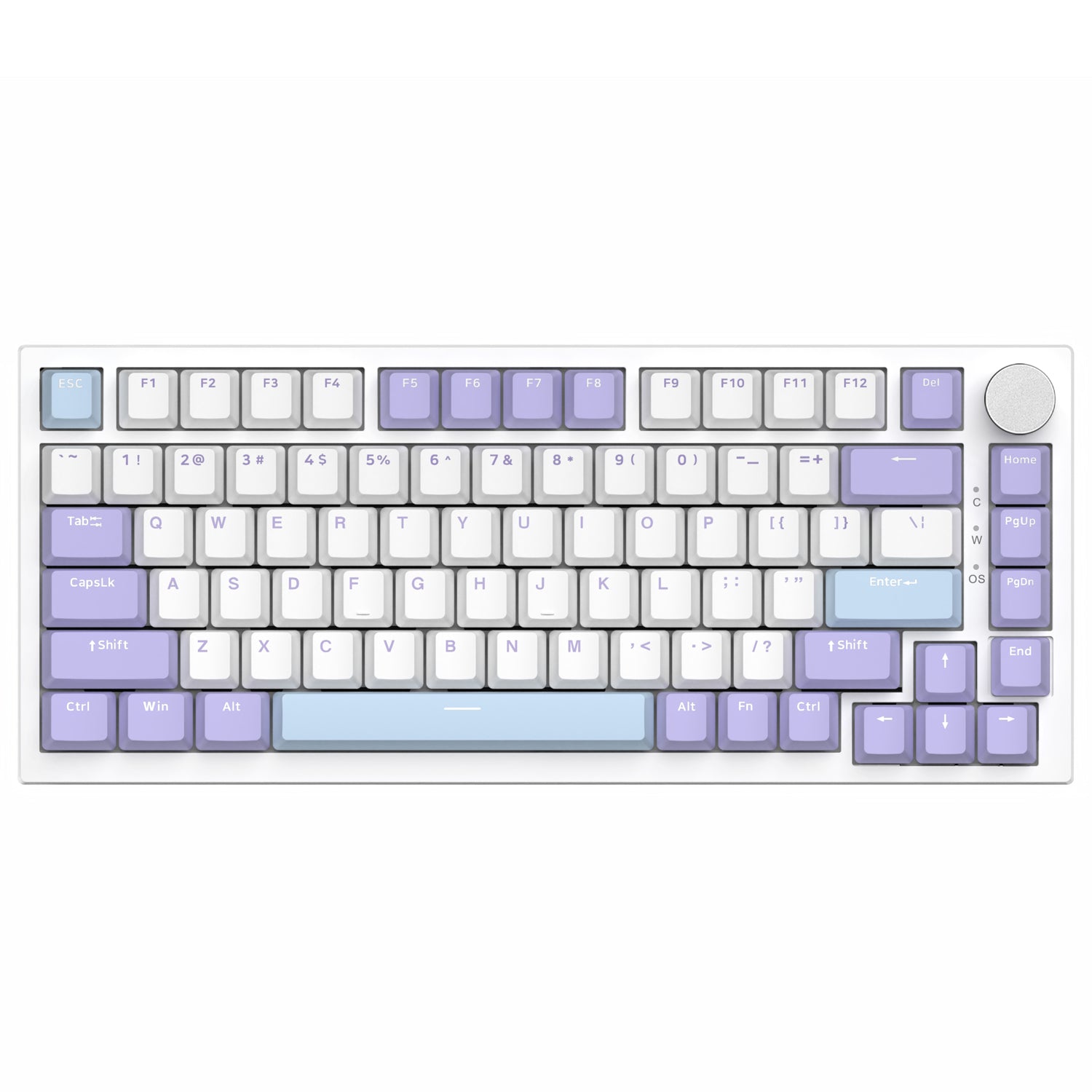 Branco Roxo (Switch Sea Salt, Iluminação RGB)